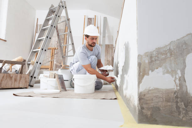 Best Mold Prevention Services  in Elkins, AR