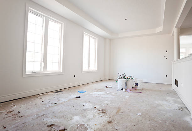 Elkins, AR Mold Removal Company