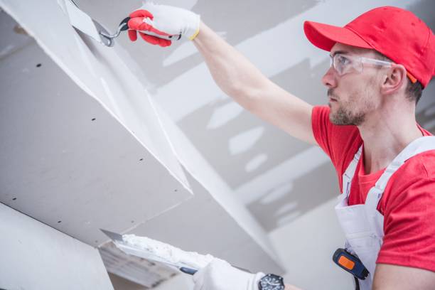  Elkins, AR Mold Removal Pros